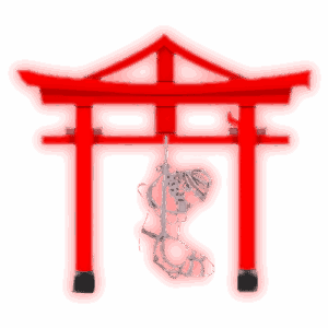 The Dojo Logo 4 300x300