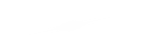 Bolt 3